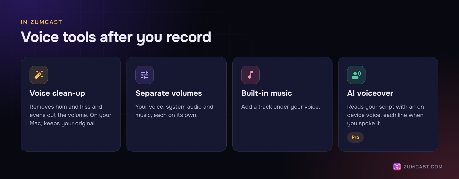 Four cards: voice clean-up, separate volumes, built-in music and AI voiceover (Pro)