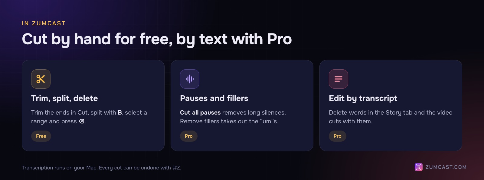 Three cards: trim, split and delete by hand (free); pauses and fillers (Pro); edit by transcript (Pro)